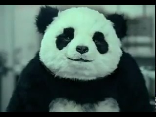 funny ad: never say no to a panda
